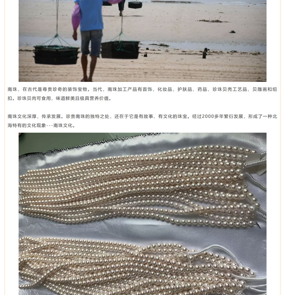 古老南珠，綻放異彩
