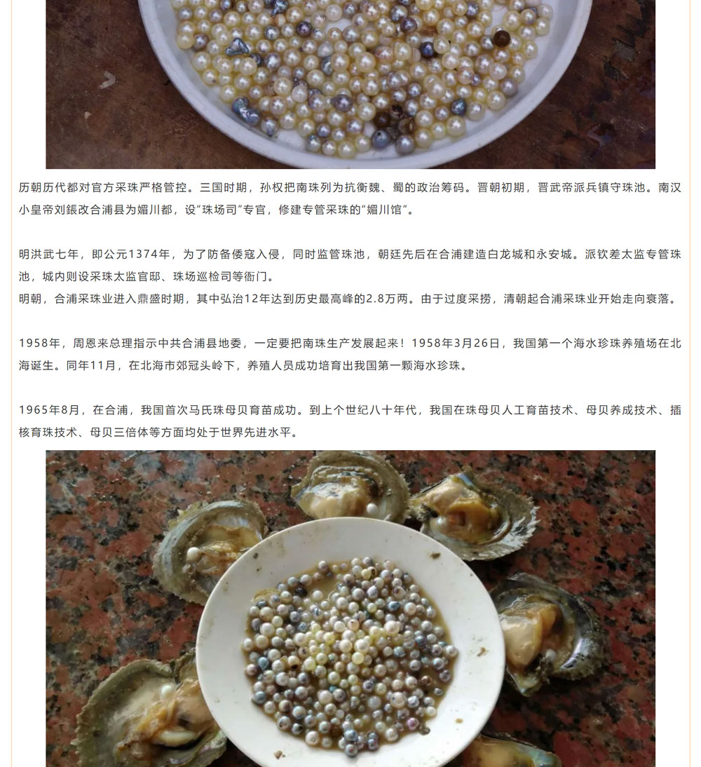 古老南珠，綻放異彩