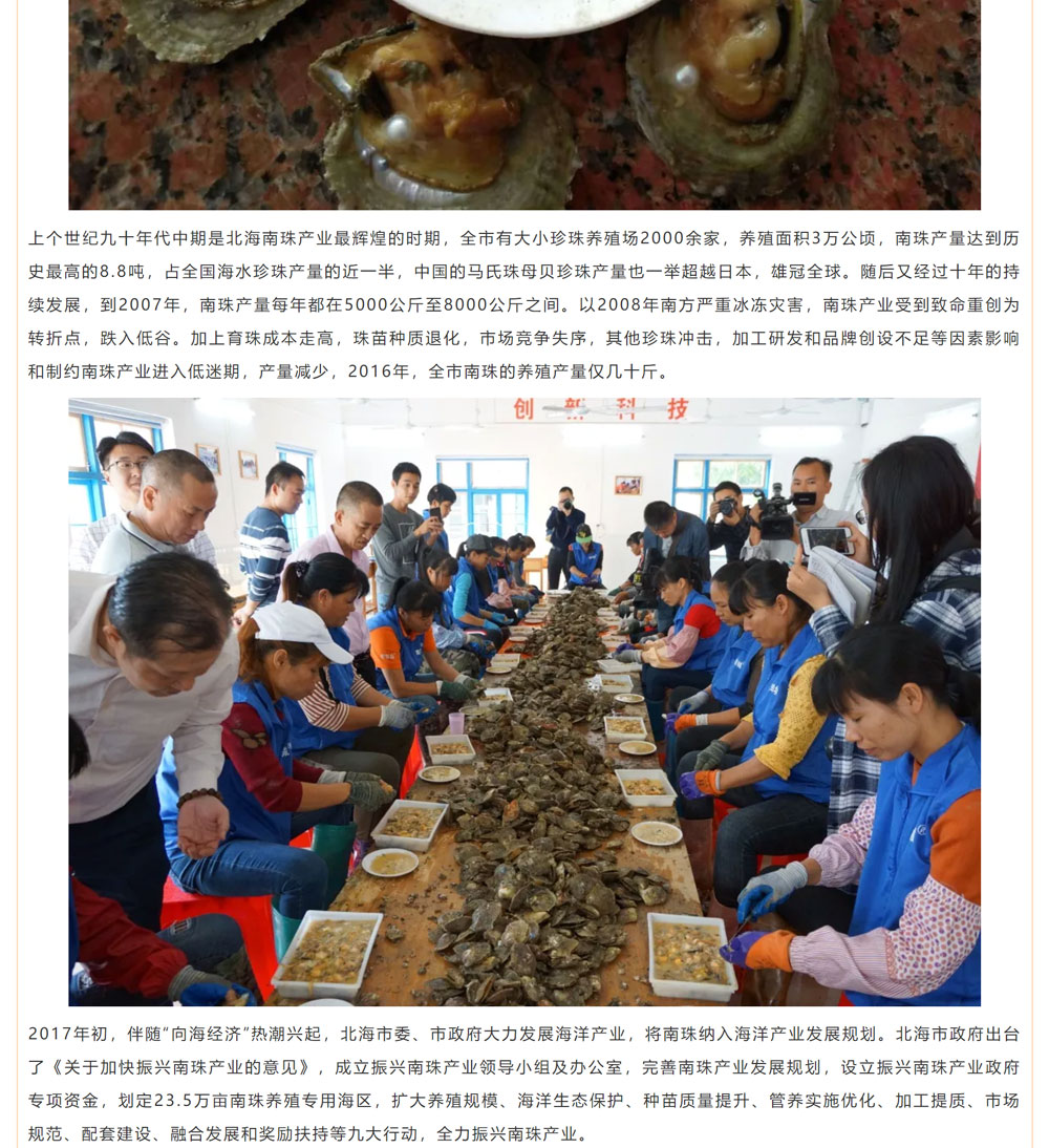古老南珠，綻放異彩