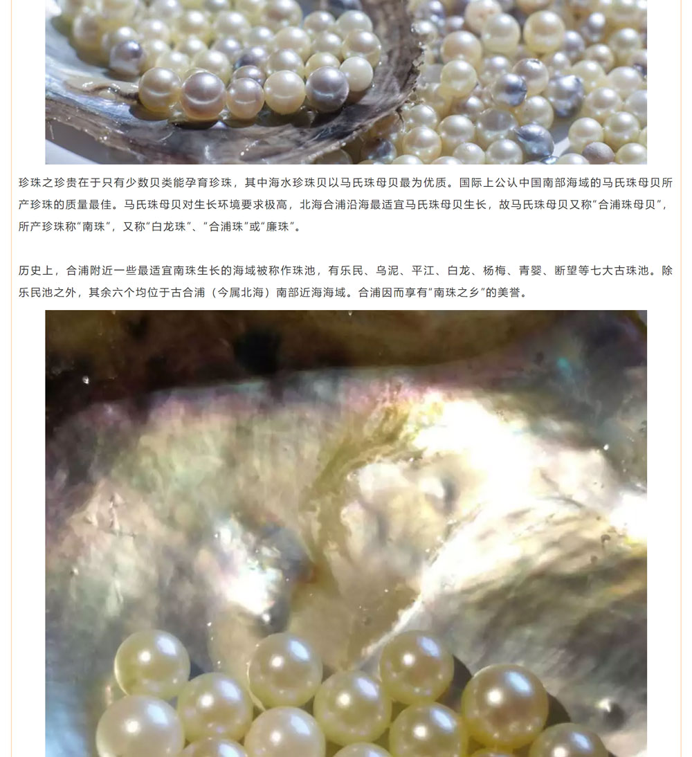 古老南珠，綻放異彩